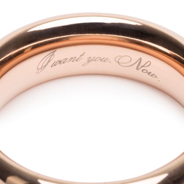 Fifty Shades Freed I Want You. Now. Steel Love Ring - Image 2