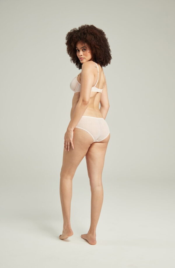 The Sheer Deco Hipster Brief Blush Pink - Image 3