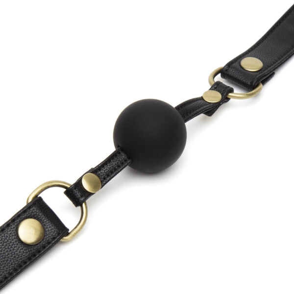 Fifty Shades of Grey Bound to You Ball Gag - Image 3