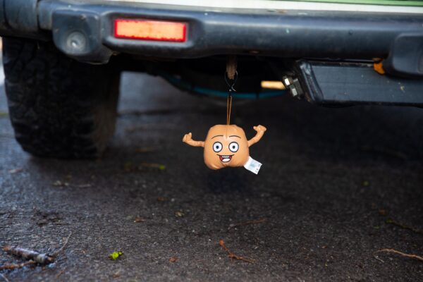 Balldo Chuck Toy - Image 2
