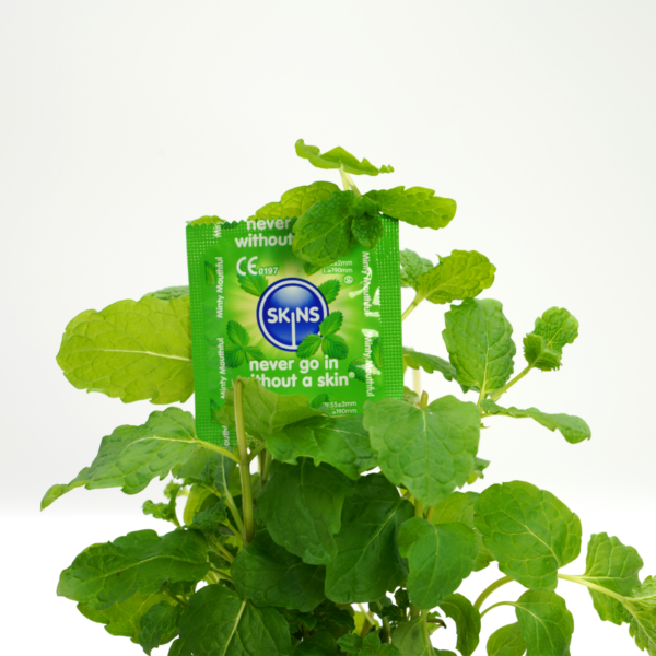 Skins Condoms Mint 12 Pack - Image 2