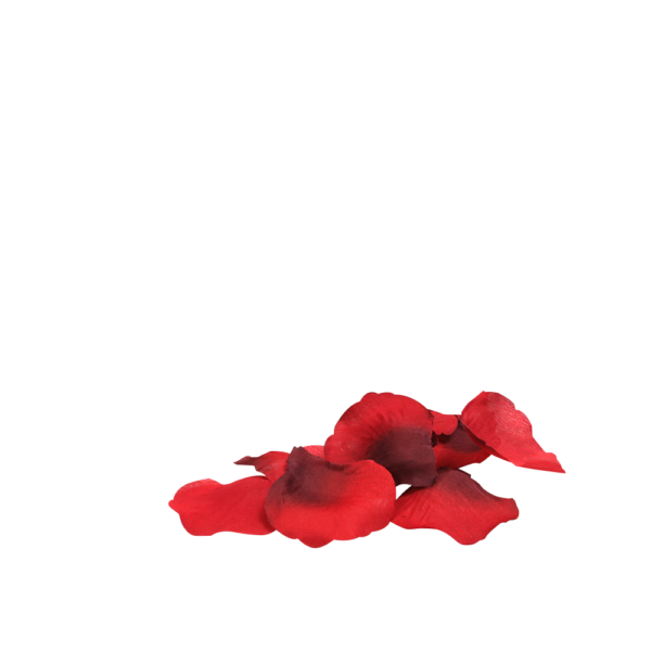 You & Me On A Bed Of Roses! - Image 2