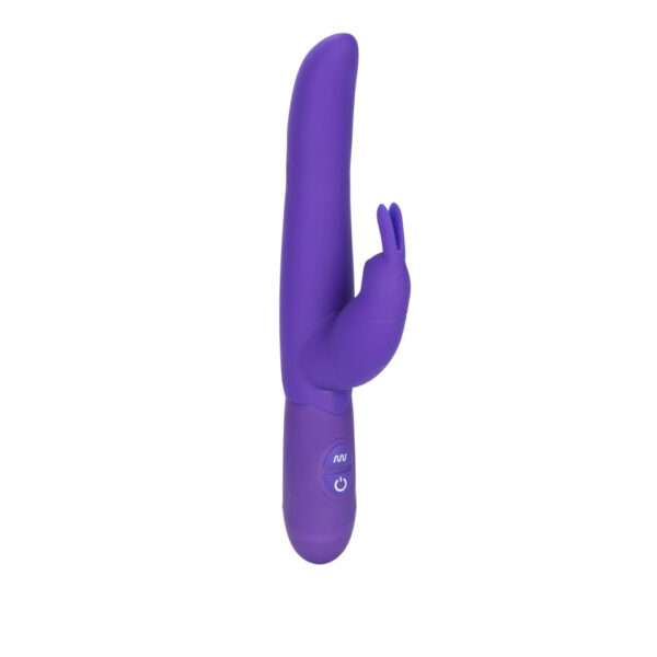 Bounding Bunny - Purple - Image 2