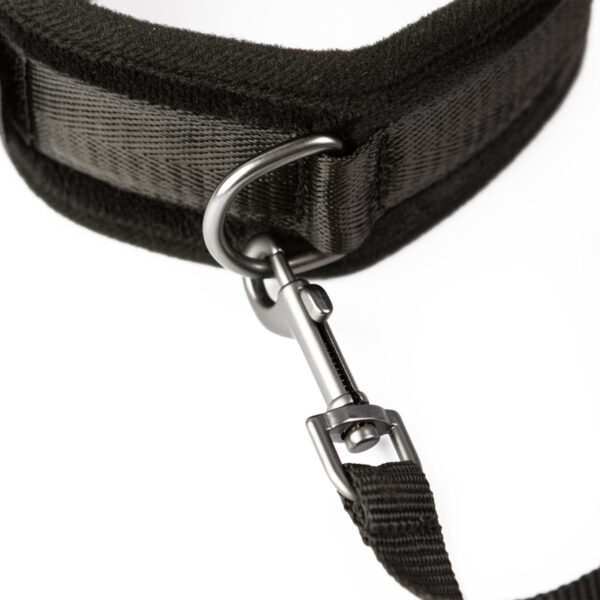 SEI MIO - Take the Lead - Padded Neck Collar and Leash - Image 3
