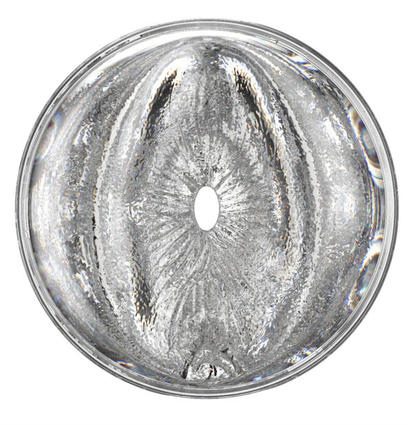 Fleshlight Quickshot - Stoya Destroya - Image 2